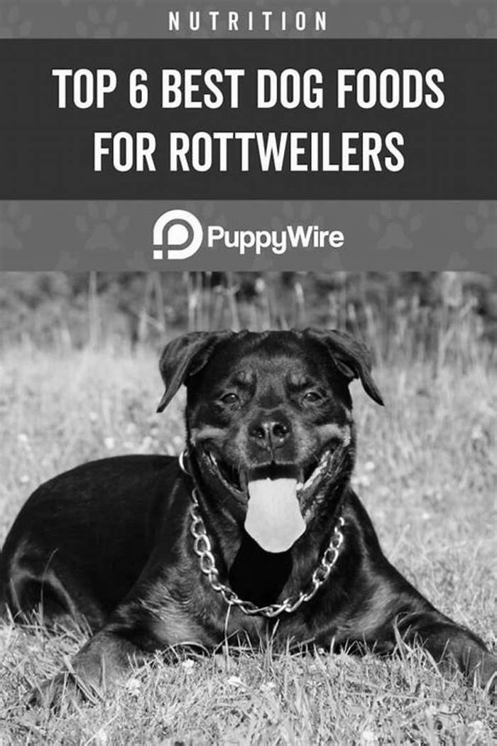 best dog food for puppy rottweilers