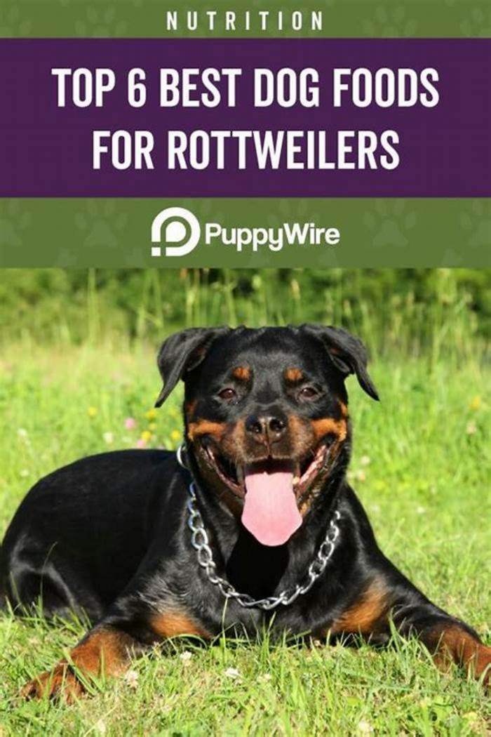 best dog food for rottweiler puppies