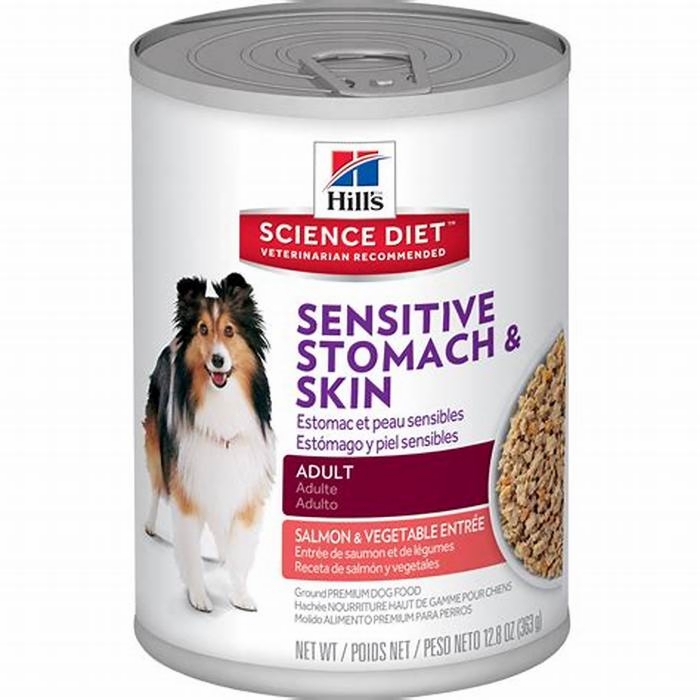 best dog food for sensitive stomach for puppies