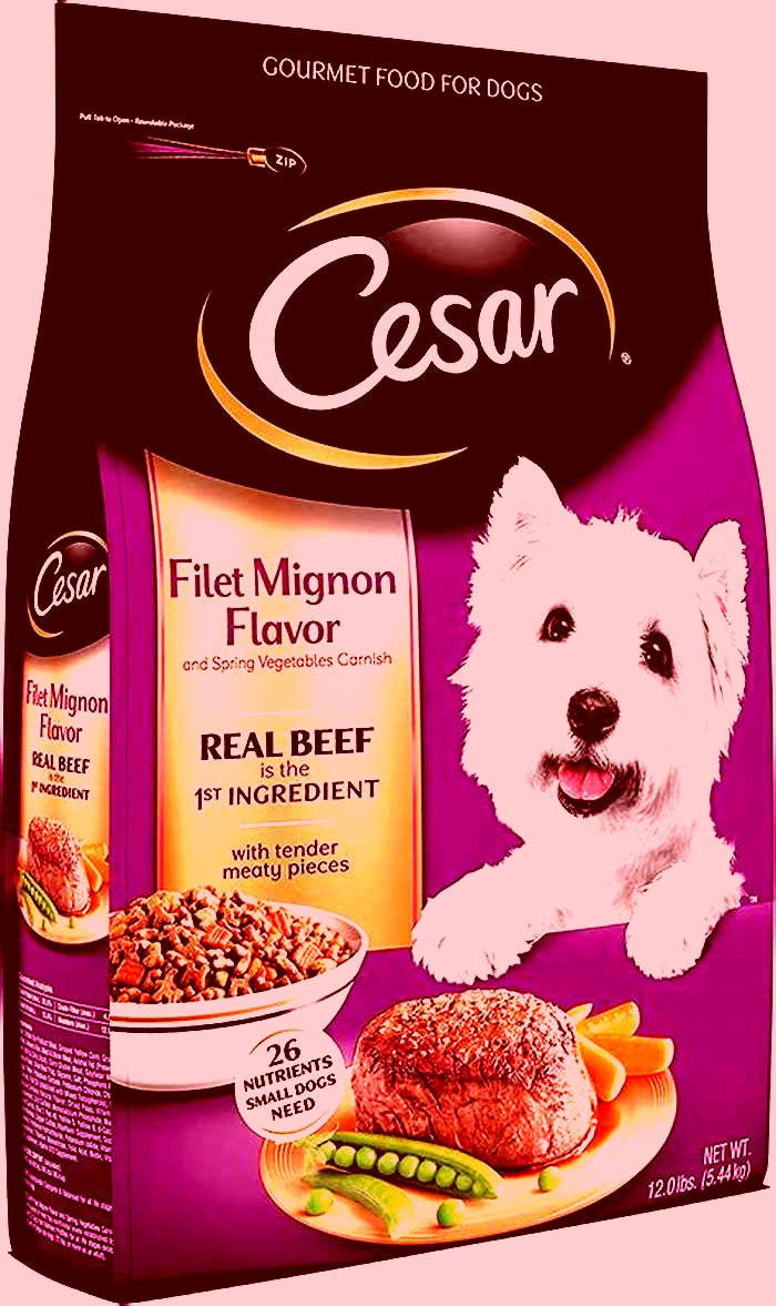 best dog food for small dogs