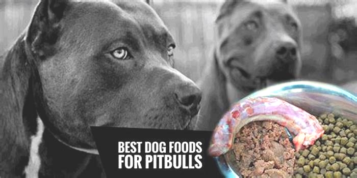 best dog food for xl pitbull