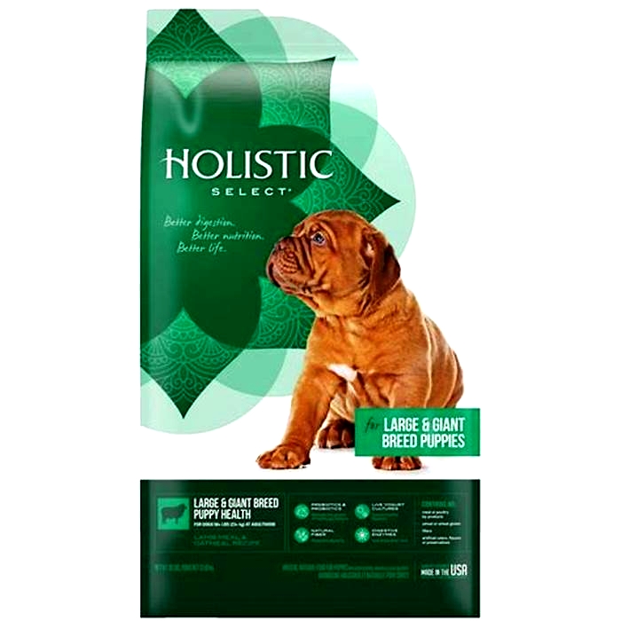 best dry dog food for large breed puppies