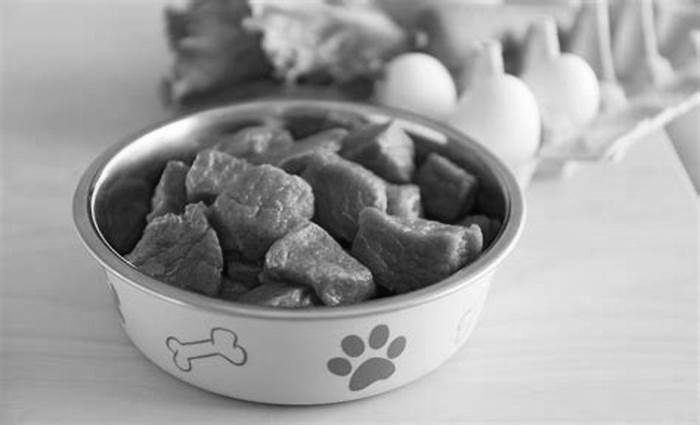 best food for dogs fresh