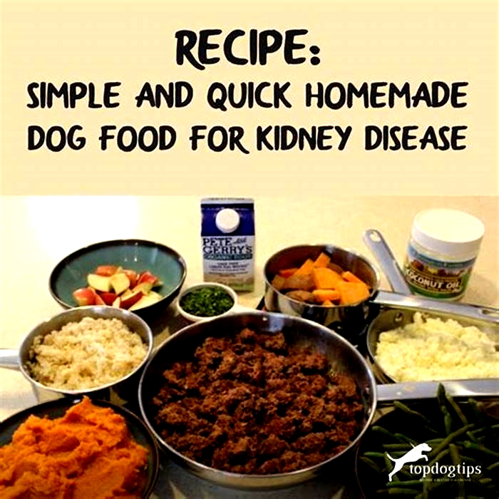 best homemade dog food for dogs with kidney disease