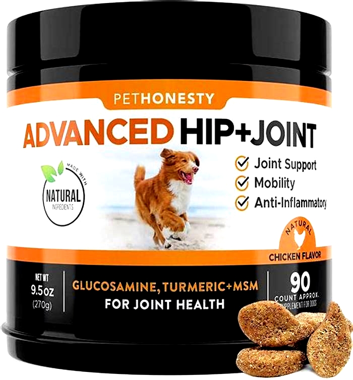 best puppy food for joint health