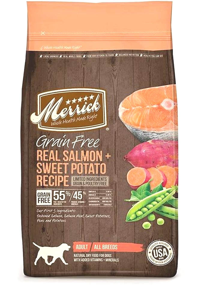 best quality salmon dog food