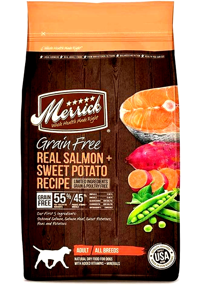 best salmon dog food