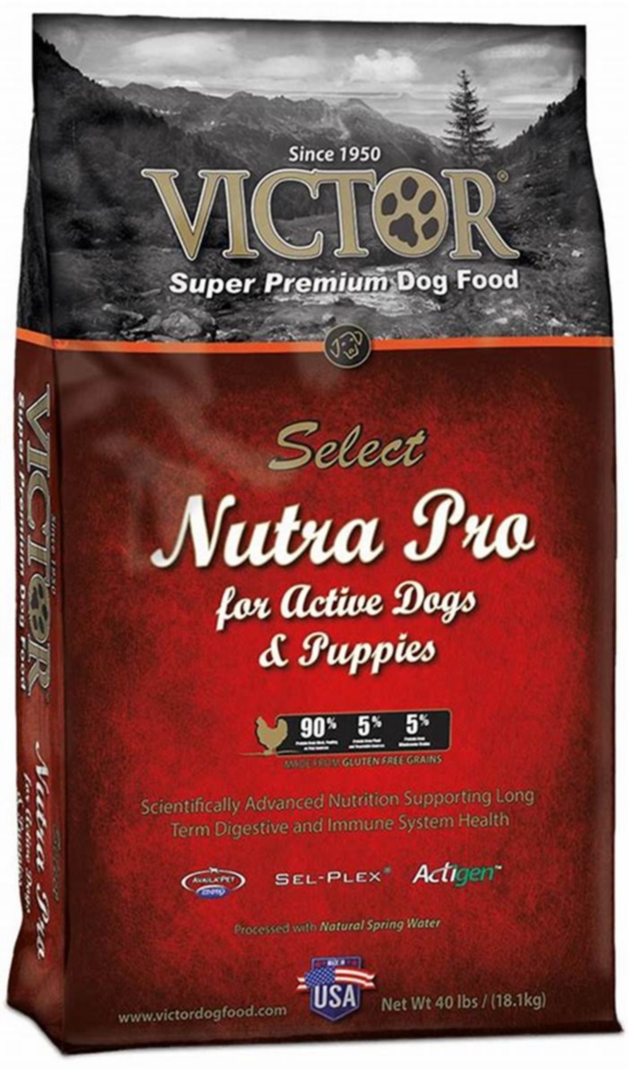 best victor dog food for large breed puppies