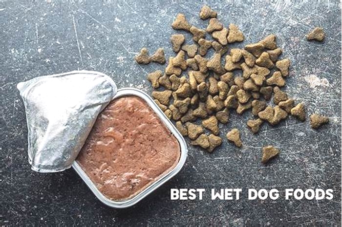 best wet dog food for puppies recommended by vets