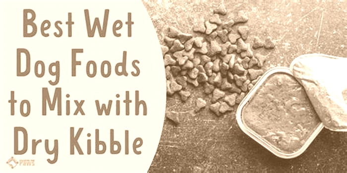 can you mix kibble with wet dog food