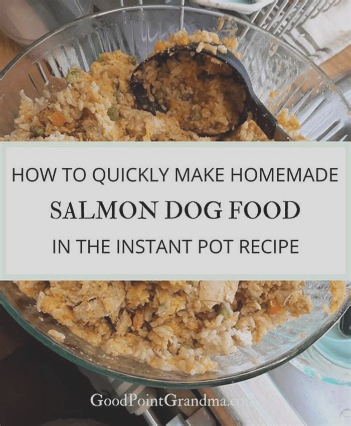 can you put salmon oil in dog food