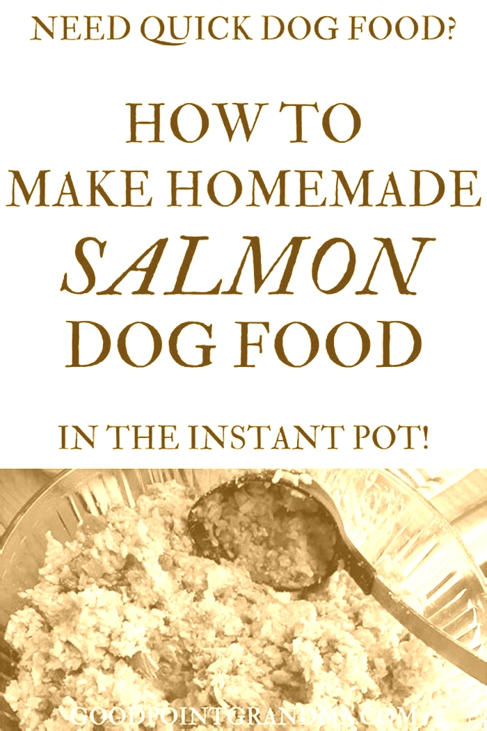 canned salmon dog food recipe