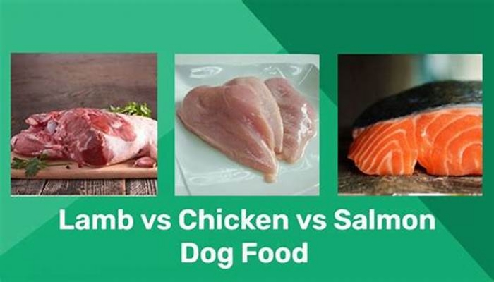 chicken vs salmon dog food