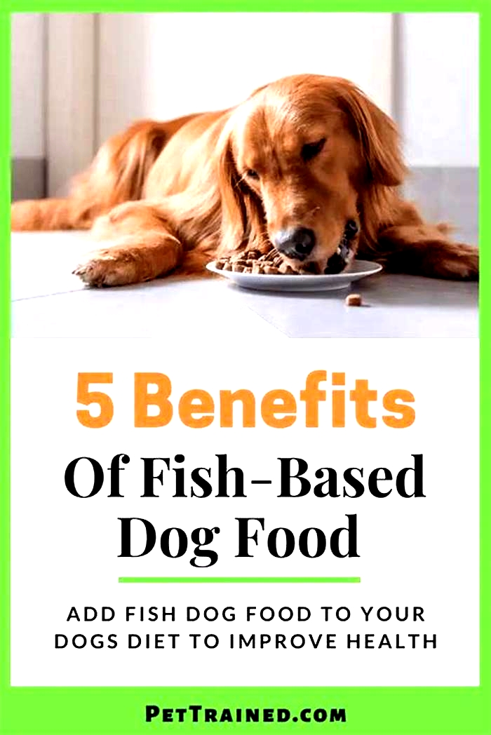 Discovering the Benefits of Fish-Based Diets for Dogs