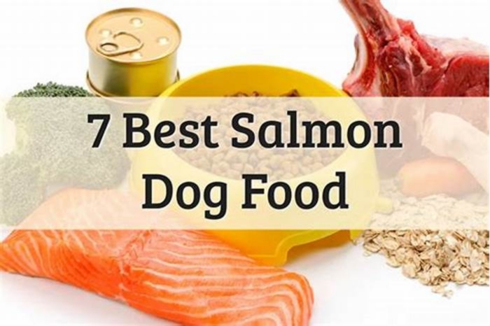 Discovering the Nutritional Value of Salmon for Your Dog's Diet