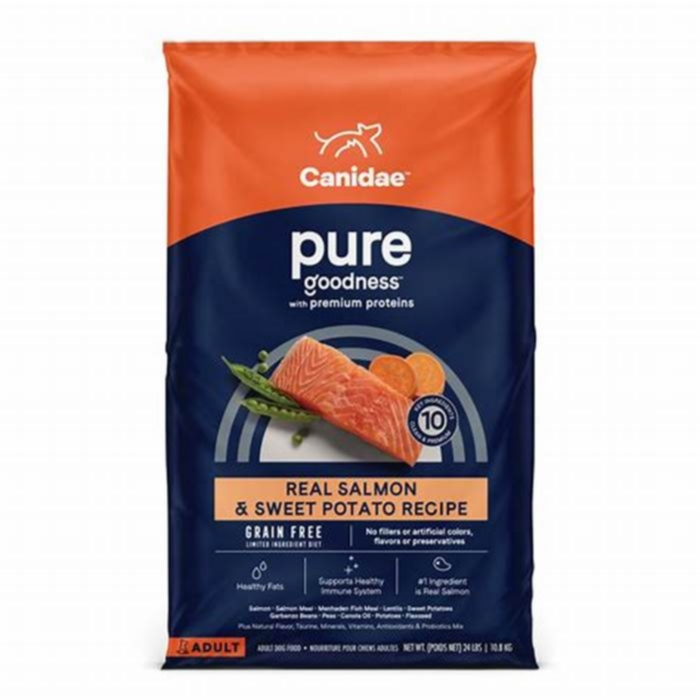 dog salmon food