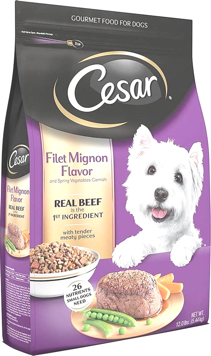 dry best dog food for puppies small breed