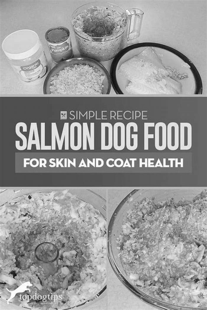 Elevating Your Dog s Diet with Premium Salmon Inspired Recipes