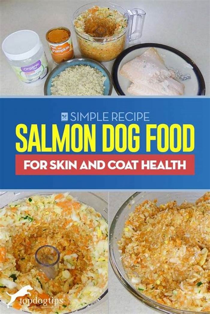 Enhancing Your Dog's Diet with Premium Salmon-Based Recipes