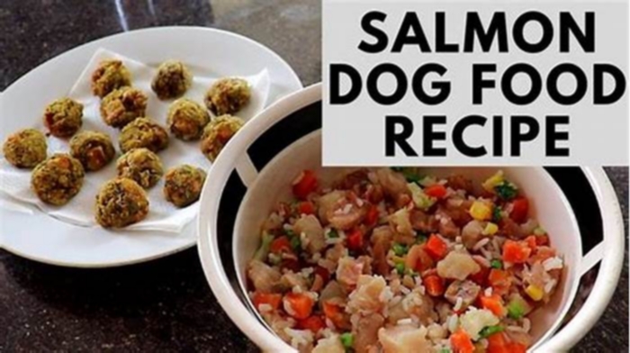 Enhancing Your Dog's Well-Being with Salmon-Inspired Meals