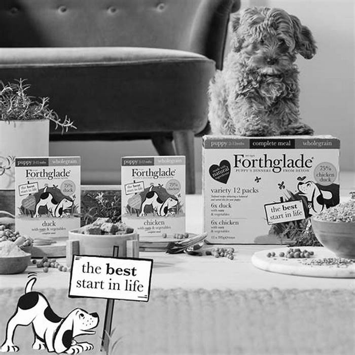 Exploring Forthglade Wet Food Formulas: Varieties to Suit Your Dog's Needs