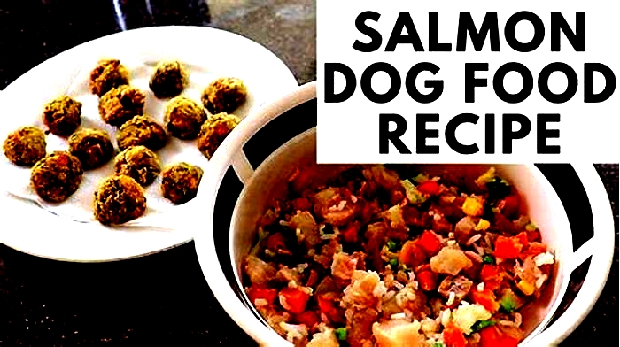 fresh salmon dog food recipe