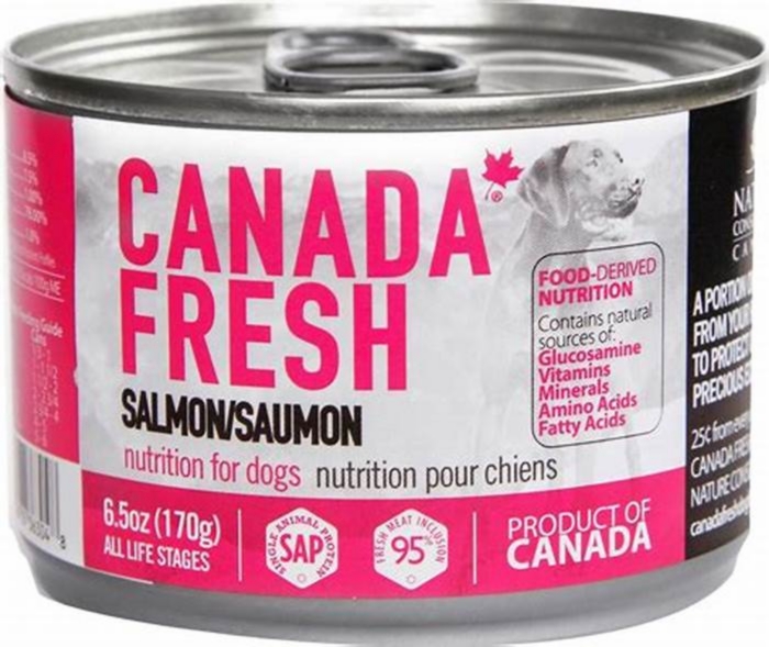 fresh salmon dog food