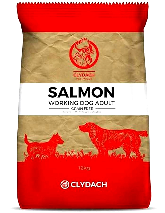 grain free salmon dog food uk