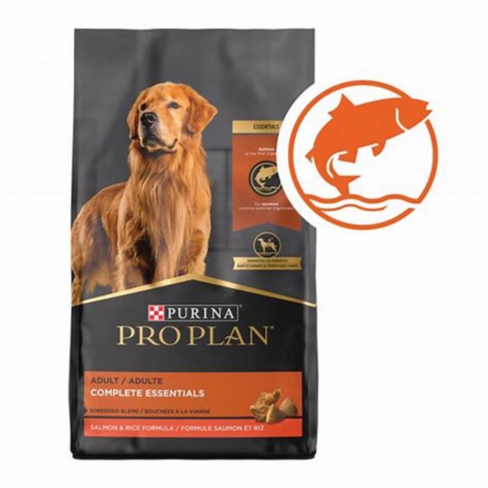 grain inclusive salmon dog food