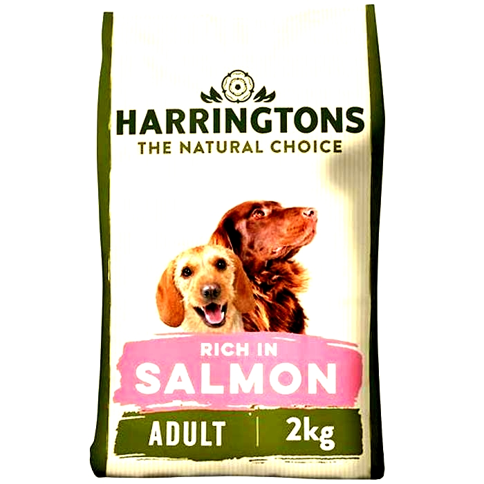 harringtons salmon dog food