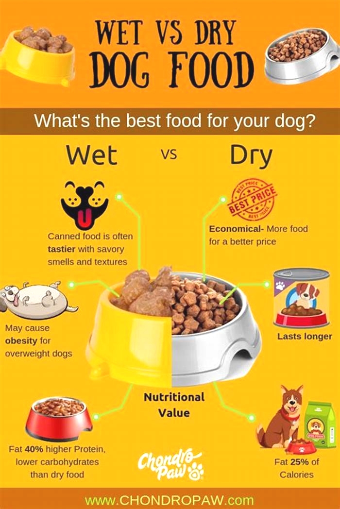 is it good to wet dry dog food