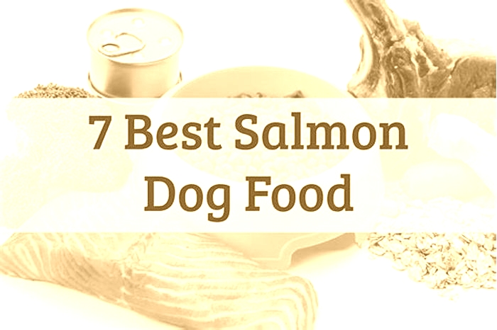 is salmon dog food better than chicken