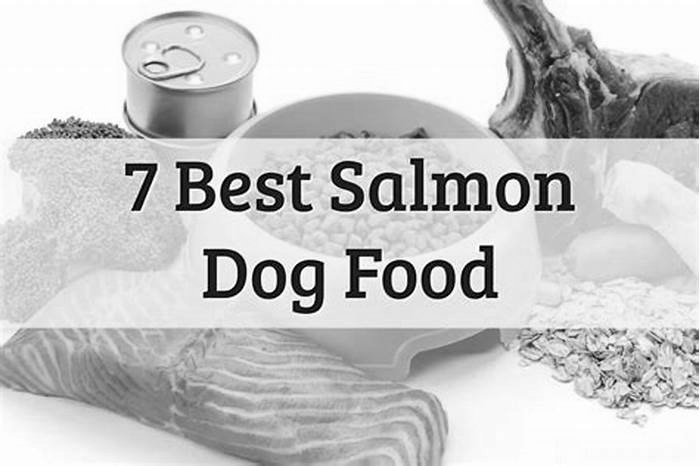 is salmon dog food good for allergies