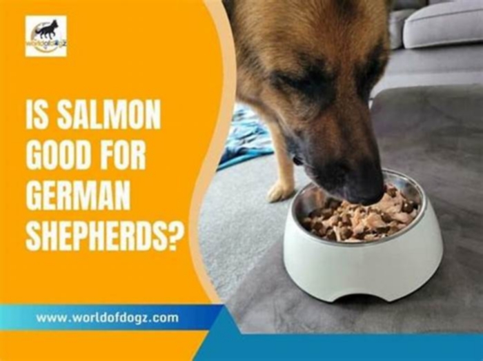 is salmon dog food good for german shepherds