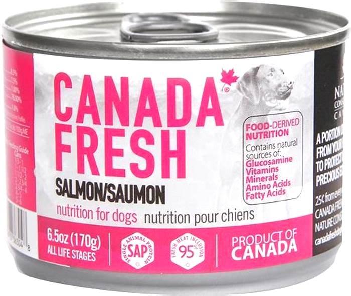 is salmon dog food good for golden retrievers