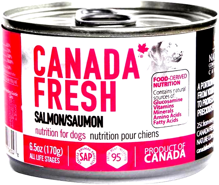 is salmon dog food good for puppies