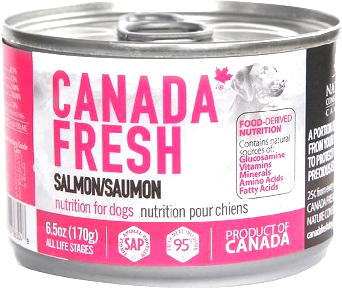 is salmon dog food good