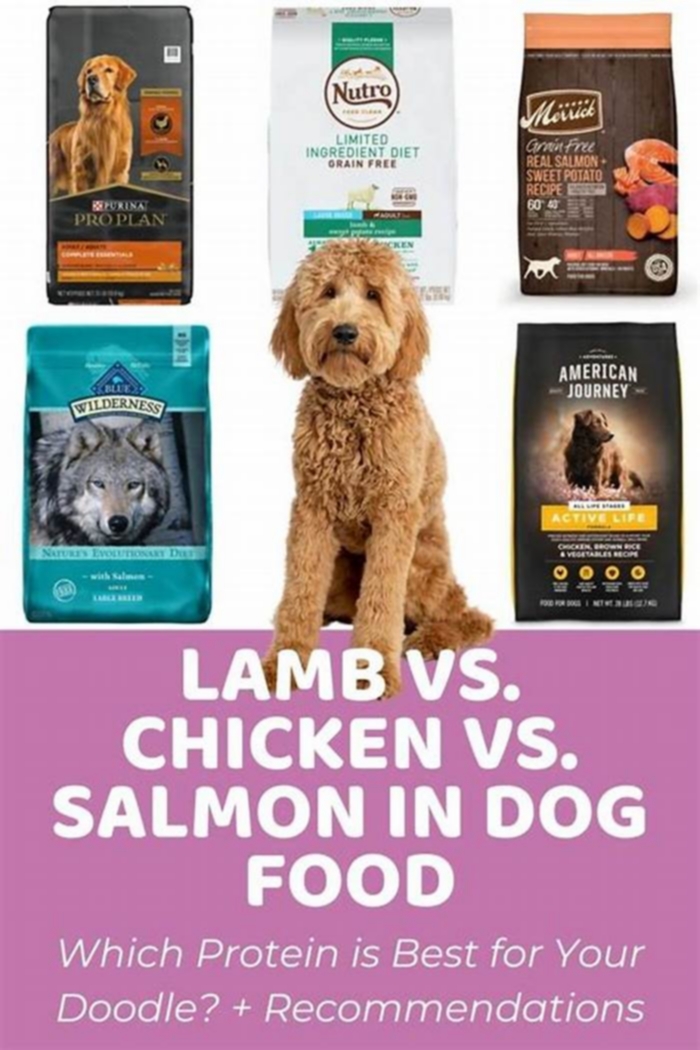 lamb vs salmon dog food