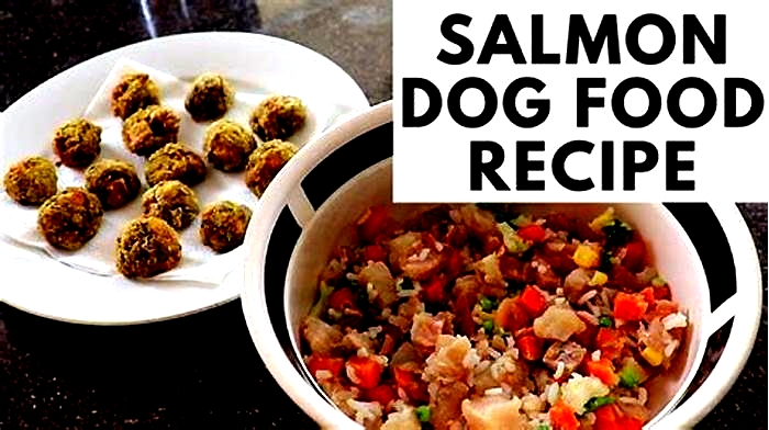 make your own dog food salmon