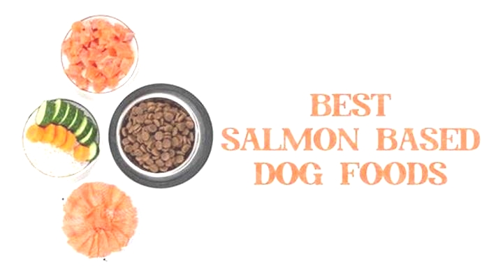 Maximizing Your Dog s Health with Salmon Enriched Diets