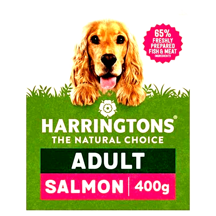 morrisons salmon dog food