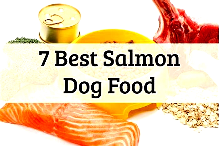 Nourishing Your Canine with Seafood Salmon Meal Choices