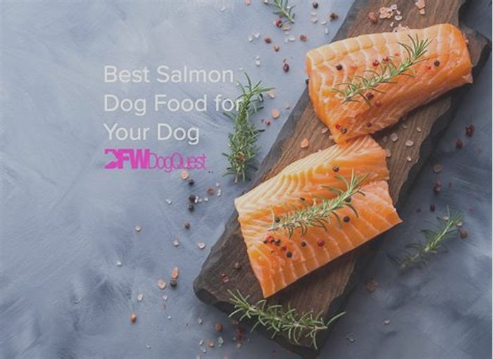 Nourishing Your Dog with High Quality Salmon Based Diets