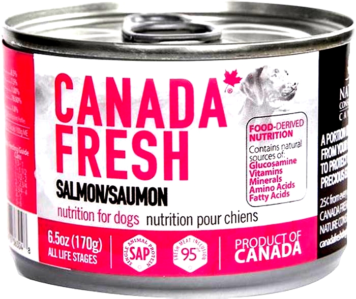 Nourishing Your Dog with High Quality Salmon Based Nutrition