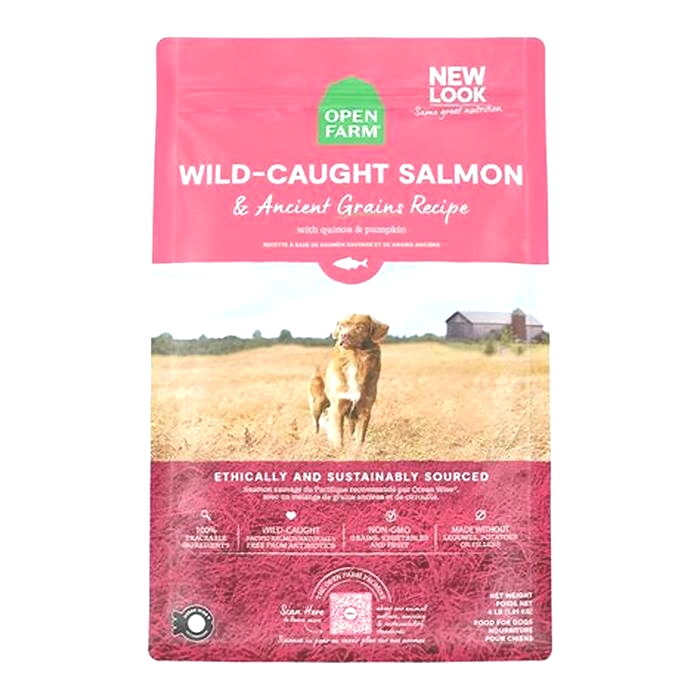 open farm salmon dog food ancient grains