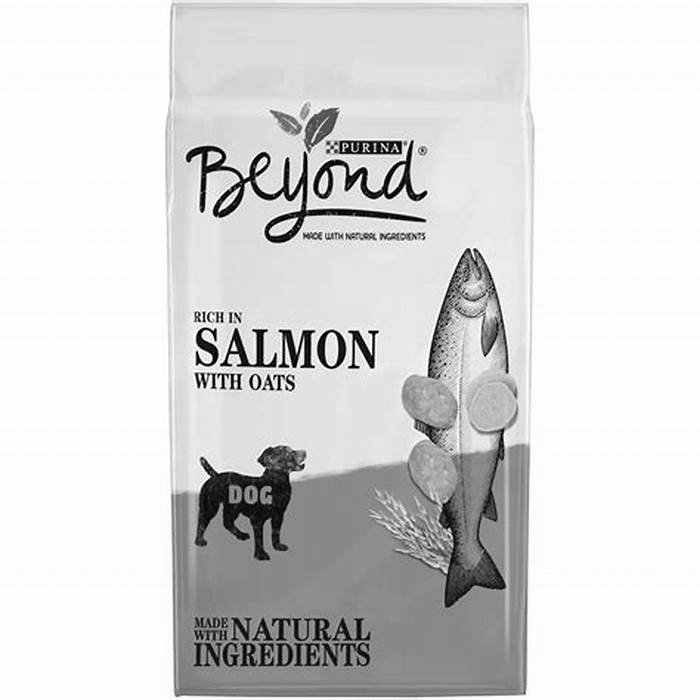 purina beyond salmon dog food