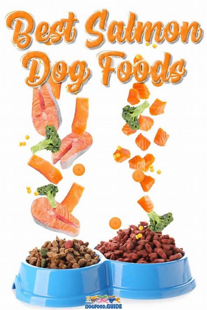 Salmon A Natural Choice for Canine Nutrition