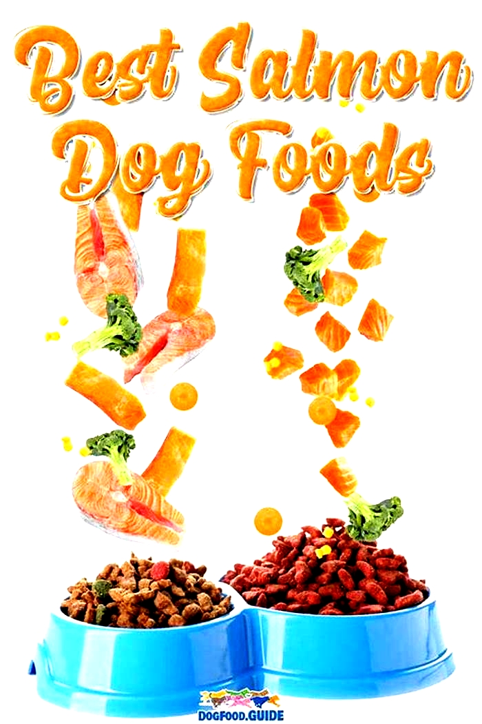 Salmon: A Superior Choice for Nourishing Your Canine Companion