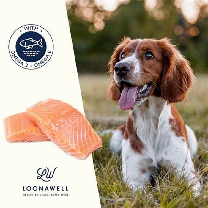 Salmon: The Key to Optimal Canine Nutrition