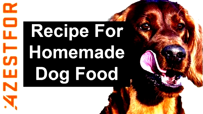 salmon and quinoa dog food recipe